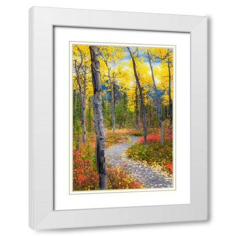 Alaska- Denali National Park. A hiking trail through fall foliage White Modern Wood Framed Art Print with Double Matting by Muir, Janet