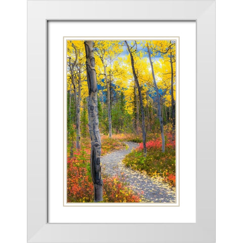 Alaska- Denali National Park. A hiking trail through fall foliage White Modern Wood Framed Art Print with Double Matting by Muir, Janet