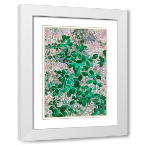 Alaska- Denali National Park. Artistic rendering of leaves. White Modern Wood Framed Art Print with Double Matting by Muir, Janet