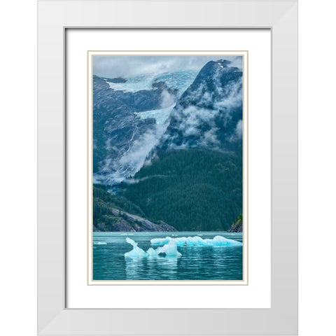 Glacial ice-iceberg-LeConte Bay-Petersburg-Alaska-USA White Modern Wood Framed Art Print with Double Matting by Engelbrecht, Jim