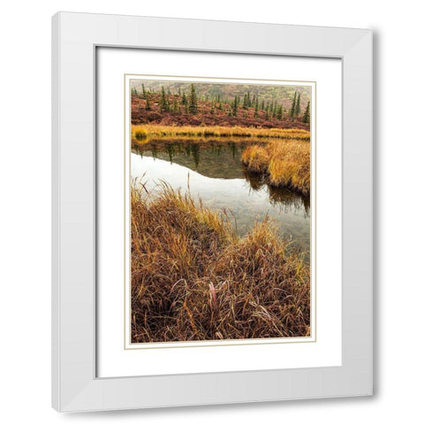 Fall Foliage-Alaska White Modern Wood Framed Art Print with Double Matting by Ford, John