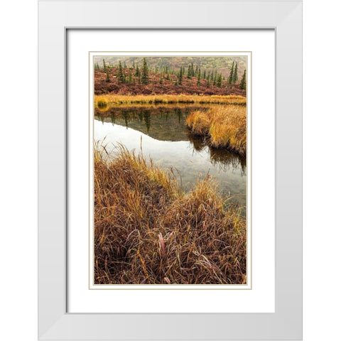 Fall Foliage-Alaska White Modern Wood Framed Art Print with Double Matting by Ford, John