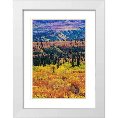 Glenn Highway-Alaska-forest White Modern Wood Framed Art Print with Double Matting by Sienda, Jolly