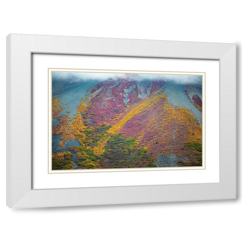 Alaska-autumn color White Modern Wood Framed Art Print with Double Matting by Sienda, Jolly