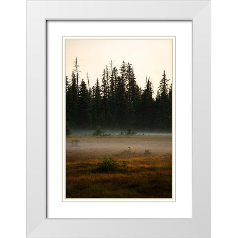 Homer-Alaska-miniature-black spruce-autumn colored field White Modern Wood Framed Art Print with Double Matting by Sienda, Jolly