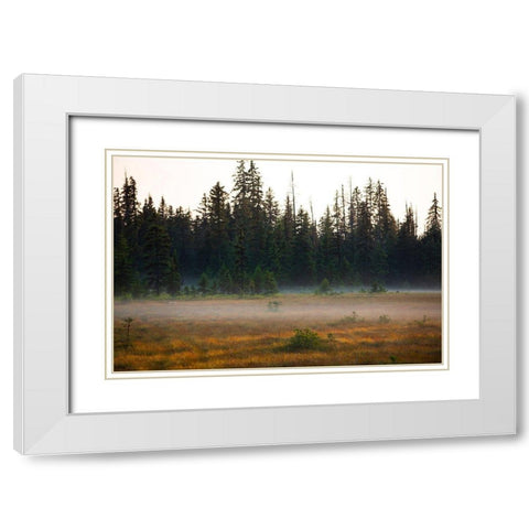 Homer-Alaska-miniature-black spruce-autumn colored field White Modern Wood Framed Art Print with Double Matting by Sienda, Jolly