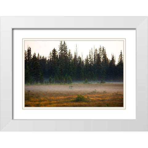 Homer-Alaska-miniature-black spruce-autumn colored field White Modern Wood Framed Art Print with Double Matting by Sienda, Jolly