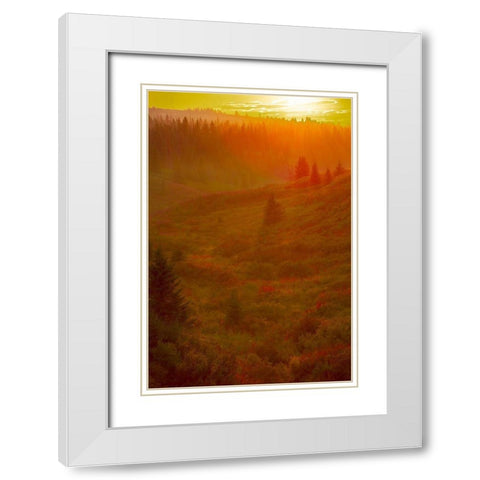 Homer-Alaska-scenic-sunset-golden-permafrost White Modern Wood Framed Art Print with Double Matting by Sienda, Jolly
