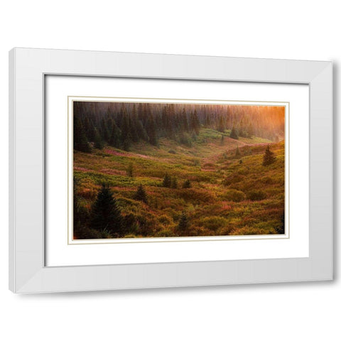Homer-Alaska-autumn-valley-fireweed White Modern Wood Framed Art Print with Double Matting by Sienda, Jolly
