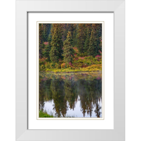Homer-Alaska-autumn-fireweed White Modern Wood Framed Art Print with Double Matting by Sienda, Jolly