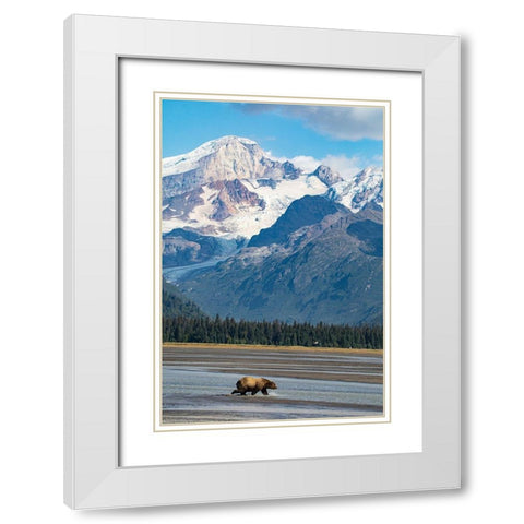 Lake Clark National Park and Preserve-Cook Inlet-Kenai Peninsula-Alaska-brown bear White Modern Wood Framed Art Print with Double Matting by Sienda, Jolly