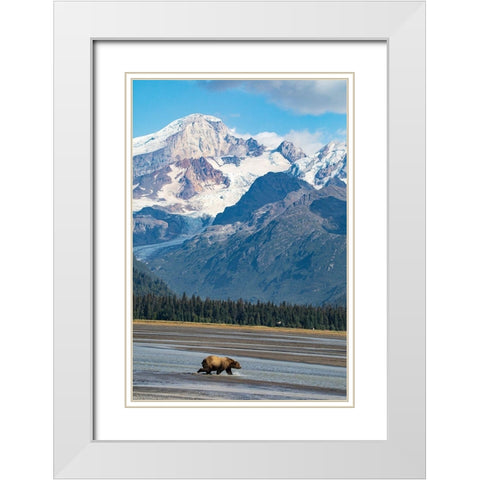 Lake Clark National Park and Preserve-Cook Inlet-Kenai Peninsula-Alaska-brown bear White Modern Wood Framed Art Print with Double Matting by Sienda, Jolly