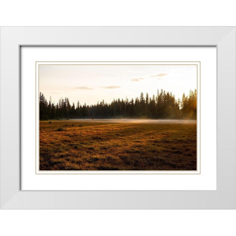 Homer-Alaska-Kenai Peninsula White Modern Wood Framed Art Print with Double Matting by Sienda, Jolly