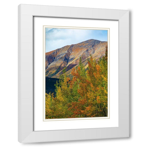 Richardson Highway-Alaska-autumn color-birch-aspens-mountains-Permafrost White Modern Wood Framed Art Print with Double Matting by Sienda, Jolly
