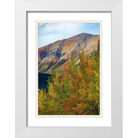Richardson Highway-Alaska-autumn color-birch-aspens-mountains-Permafrost White Modern Wood Framed Art Print with Double Matting by Sienda, Jolly