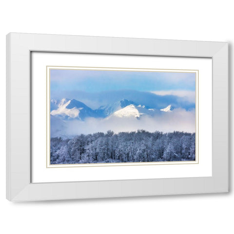 Landscape of forest and snow mountain-Haines-Alaska-USA White Modern Wood Framed Art Print with Double Matting by Su, Keren