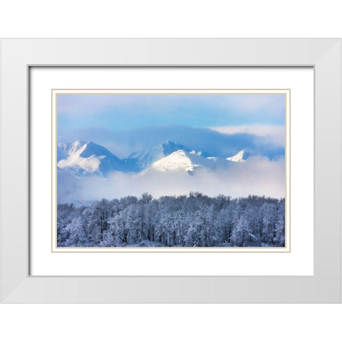 Landscape of forest and snow mountain-Haines-Alaska-USA White Modern Wood Framed Art Print with Double Matting by Su, Keren