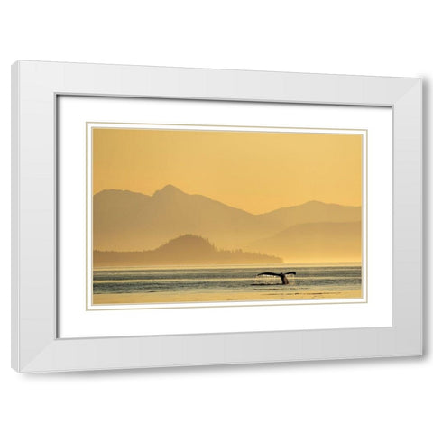 Alaska-Water streams from tails of Humpback Whale diving in Frederick Sound near Kupreanof Island White Modern Wood Framed Art Print with Double Matting by Souders, Paul