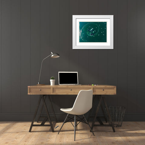 Alaska-Aerial view of Humpback Whales lunging at surface of Frederick Sound while bubble net feeding White Modern Wood Framed Art Print with Double Matting by Souders, Paul