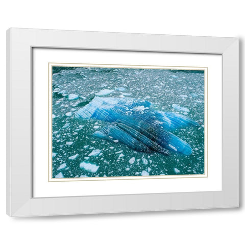 Alaska shattered icebergs floating near calving face of LeConte Glacier east of Petersburg White Modern Wood Framed Art Print with Double Matting by Souders, Paul