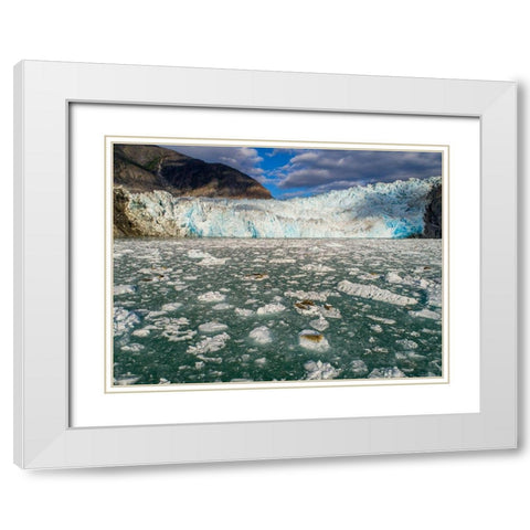 Alaska-Tracy Arm Harbor Seals hauled out on icebergs calved from Dawes Glacier in Endicott Arm White Modern Wood Framed Art Print with Double Matting by Souders, Paul