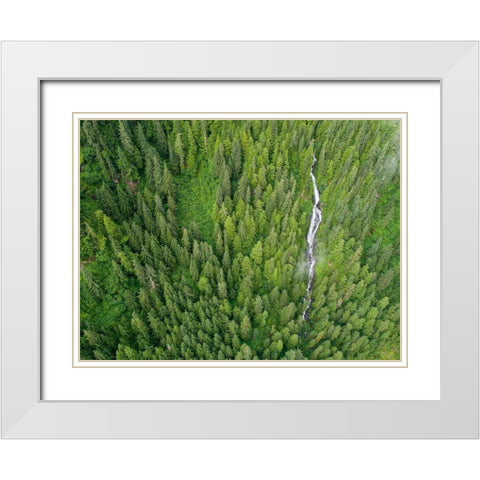 Alaska-Juneau-Taku Harbor State Marine Park-waterfall on mountainside in coastal rainforest White Modern Wood Framed Art Print with Double Matting by Souders, Paul
