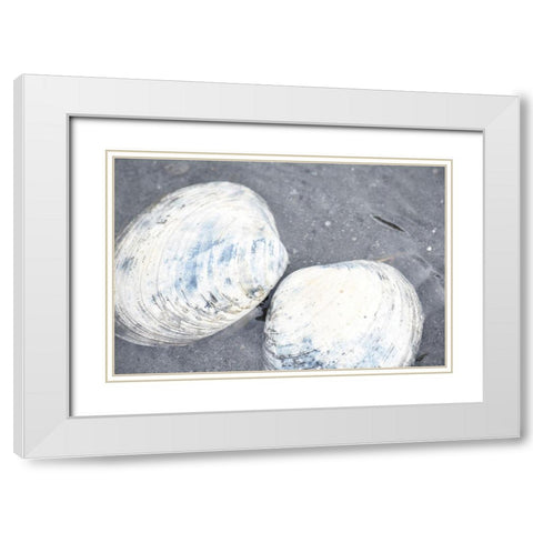 Alaska-Ketchikan-clam shells on beach White Modern Wood Framed Art Print with Double Matting by PLank, Savanah