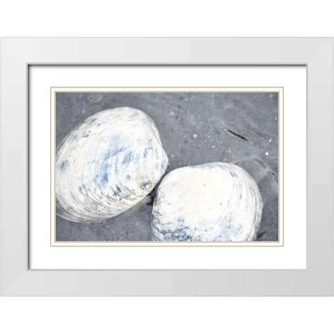Alaska-Ketchikan-clam shells on beach White Modern Wood Framed Art Print with Double Matting by PLank, Savanah