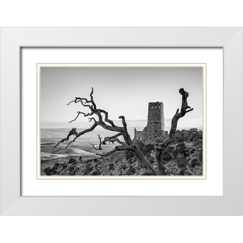 Arizona-Grand Canyon National Park-Sunrise at the Desert View Watchtower White Modern Wood Framed Art Print with Double Matting by Collins, Ann