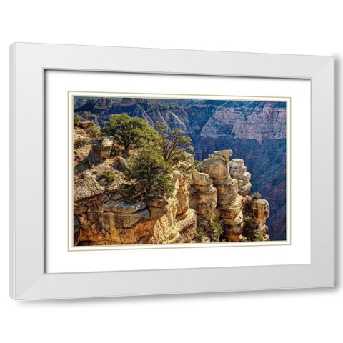 Arizona-Grand Canyon National Park-Rocks and trees at Grandview Point White Modern Wood Framed Art Print with Double Matting by Collins, Ann