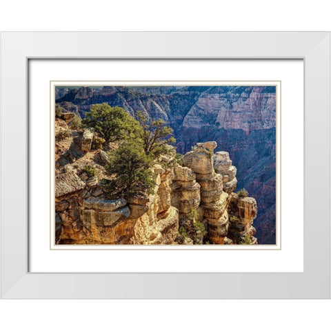Arizona-Grand Canyon National Park-Rocks and trees at Grandview Point White Modern Wood Framed Art Print with Double Matting by Collins, Ann