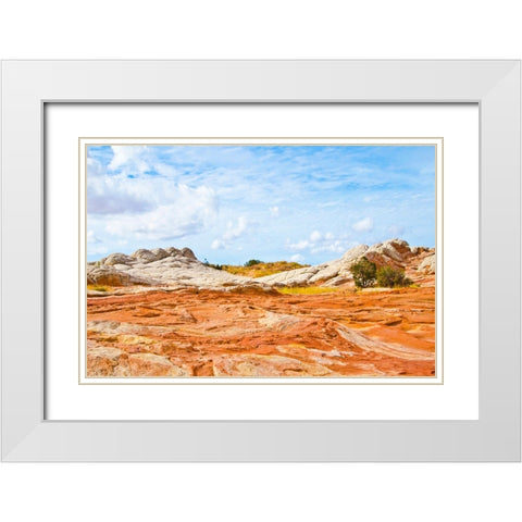 USA-Arizona-Vermilion Cliffs National Monument White Pocket White Modern Wood Framed Art Print with Double Matting by Friel, Bernard