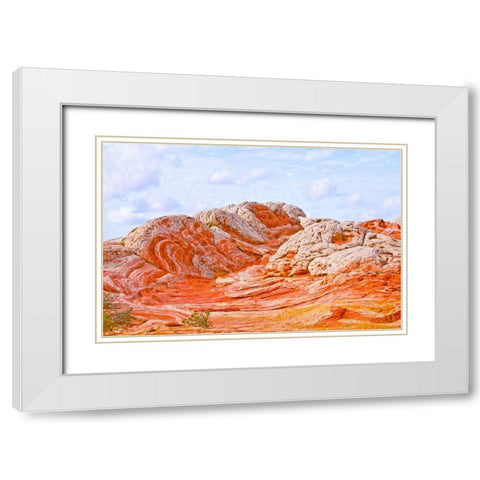 USA-Arizona-Vermilion Cliffs National Monument White Pocket White Modern Wood Framed Art Print with Double Matting by Friel, Bernard