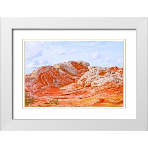 USA-Arizona-Vermilion Cliffs National Monument White Pocket White Modern Wood Framed Art Print with Double Matting by Friel, Bernard