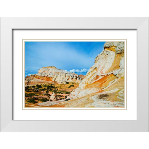 USA-Arizona-Vermilion Cliffs National Monument White Pocket White Modern Wood Framed Art Print with Double Matting by Friel, Bernard