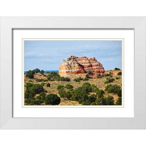 USA-Arizona-Vermilion Cliffs National Monument White Pocket White Modern Wood Framed Art Print with Double Matting by Friel, Bernard