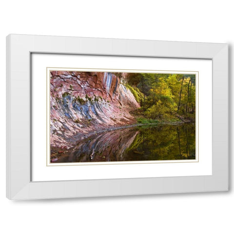 AZ, Sedona Cliff recflection along a creek White Modern Wood Framed Art Print with Double Matting by OBrien, Jay