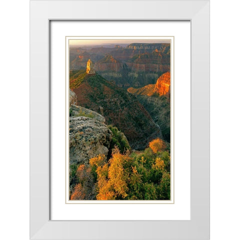 AZ, Grand Canyon, Sunrise at Point Imperial White Modern Wood Framed Art Print with Double Matting by Welling, Dave