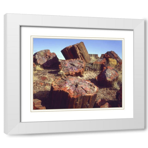Arizona, Petrified Forest NP Petrified logs White Modern Wood Framed Art Print with Double Matting by Talbot Frank, Christopher
