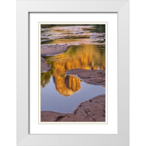 Arizona, Sedona Cathedral Rock reflects in creek White Modern Wood Framed Art Print with Double Matting by OBrien, Jay