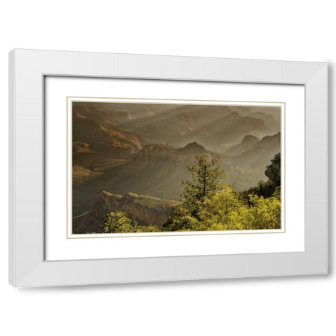 AZ, Grand Canyon, God rays over rock formations White Modern Wood Framed Art Print with Double Matting by OBrien, Jay