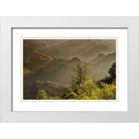 AZ, Grand Canyon, God rays over rock formations White Modern Wood Framed Art Print with Double Matting by OBrien, Jay