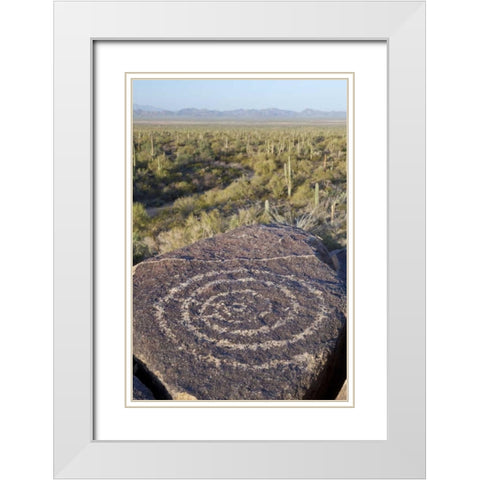 Arizona, Saguaro NP Hohokam Indian petroglyph White Modern Wood Framed Art Print with Double Matting by Paulson, Don