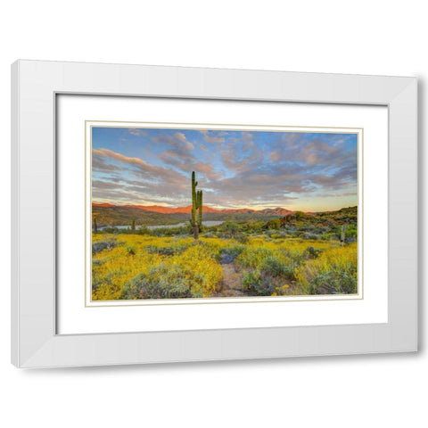 AZ, Lake Bartlett Sunset on desert landscape White Modern Wood Framed Art Print with Double Matting by Lord, Fred
