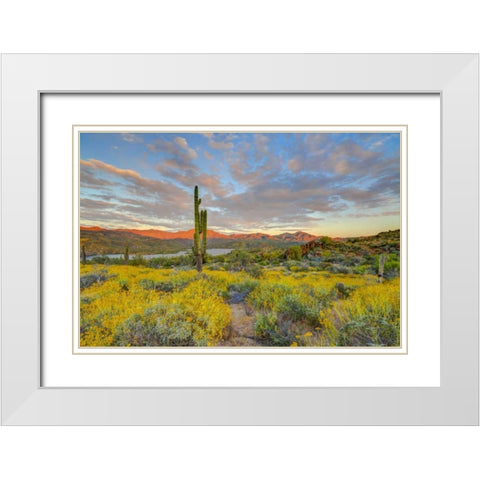 AZ, Lake Bartlett Sunset on desert landscape White Modern Wood Framed Art Print with Double Matting by Lord, Fred