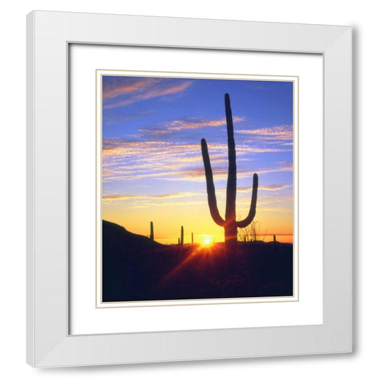 Perspective Image