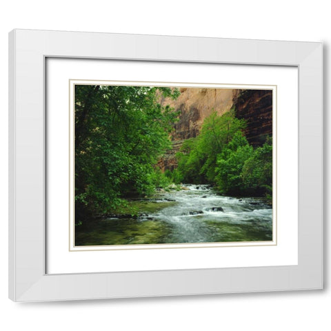 AZ, Havasupai Havasu Creek in the Grand Canyon White Modern Wood Framed Art Print with Double Matting by Talbot Frank, Christopher
