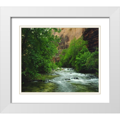 AZ, Havasupai Havasu Creek in the Grand Canyon White Modern Wood Framed Art Print with Double Matting by Talbot Frank, Christopher