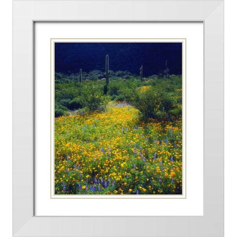 AZ, Organ Pipe Cactus NM flowers and Saguaro White Modern Wood Framed Art Print with Double Matting by Talbot Frank, Christopher