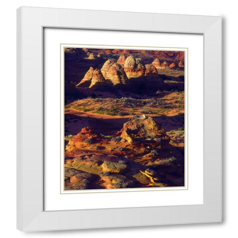 Arizona, Sandstone formations in the Paria Canyon White Modern Wood Framed Art Print with Double Matting by Talbot Frank, Christopher